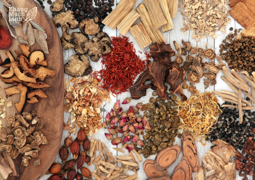 Công dụng của sâm đương quy trong hỗ trợ sức khỏe