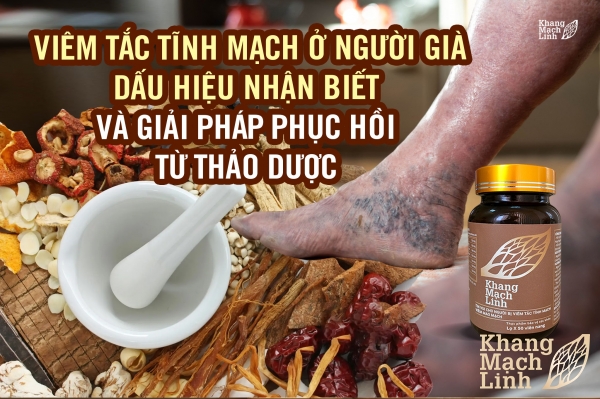 Viêm tắc tĩnh mạch ở người già: Dấu hiệu nhận biết và giải pháp phục hồi từ thảo dược